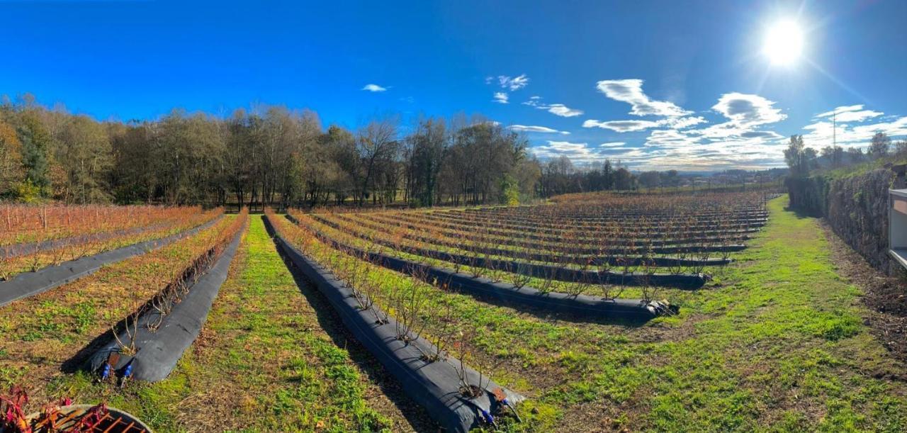 Quinta De Requeixo Villa Guimarães Buitenkant foto